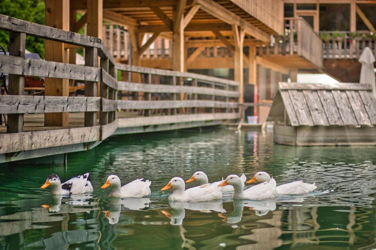 Slovenia Eco Resort Stahovica 외부 사진