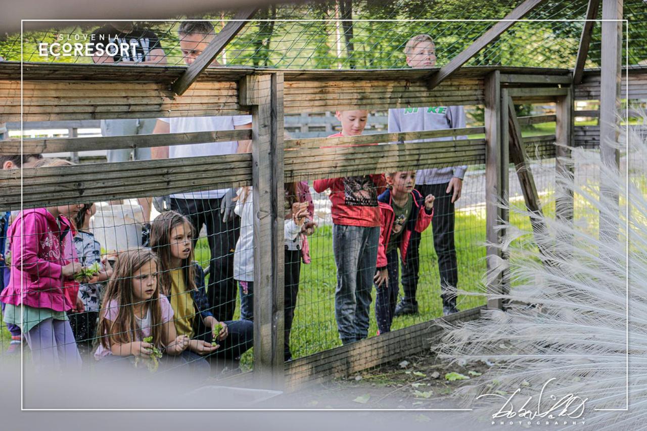 Slovenia Eco Resort Stahovica 외부 사진