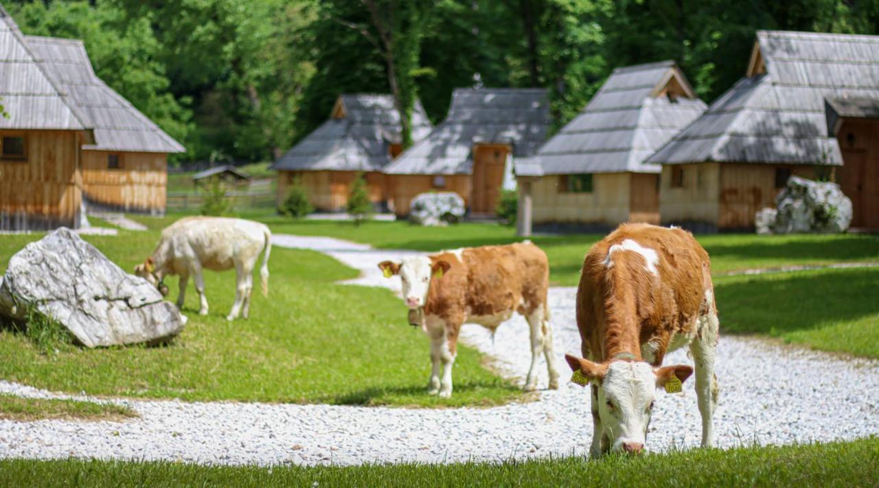 Slovenia Eco Resort Stahovica 외부 사진
