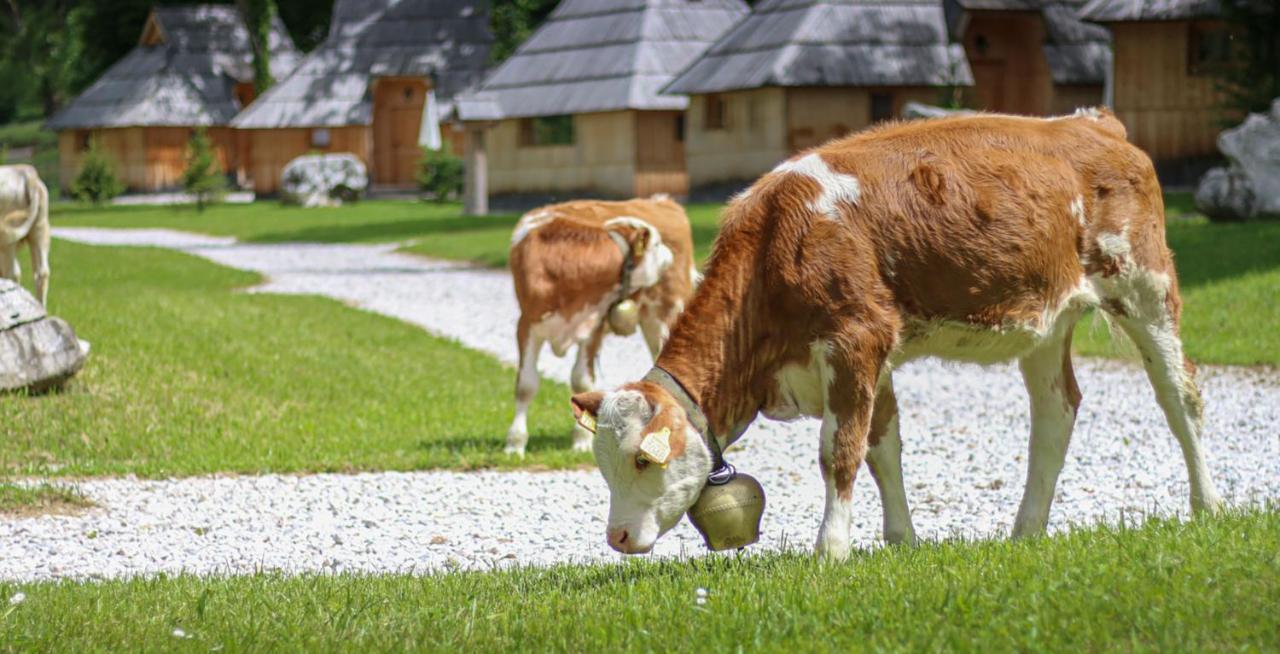 Slovenia Eco Resort Stahovica 외부 사진