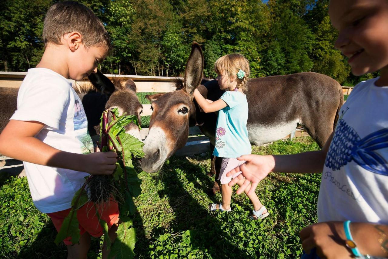 Slovenia Eco Resort Stahovica 외부 사진