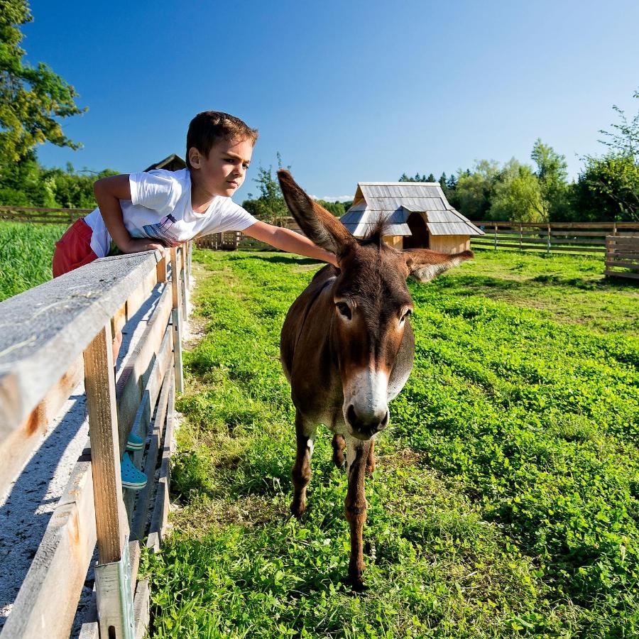 Slovenia Eco Resort Stahovica 외부 사진