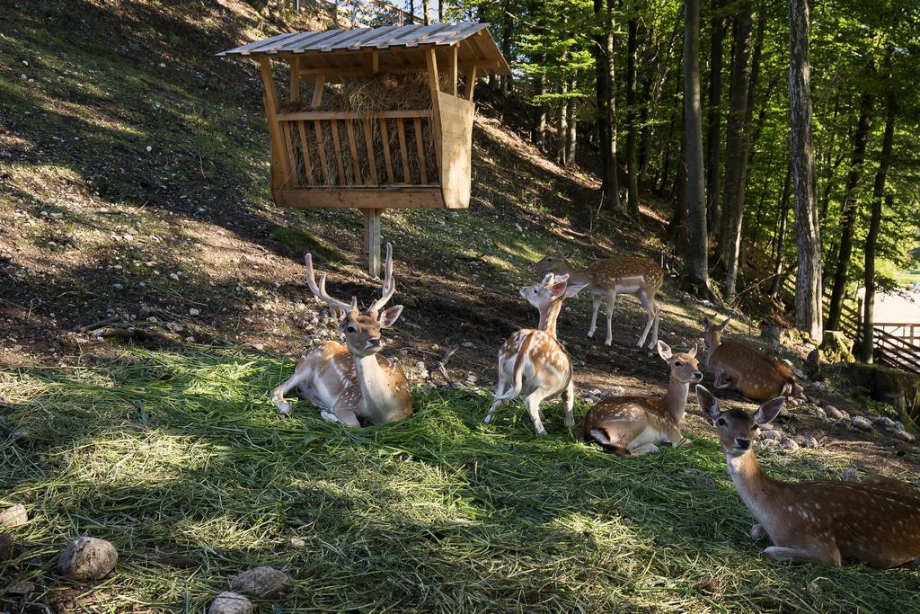 Slovenia Eco Resort Stahovica 외부 사진