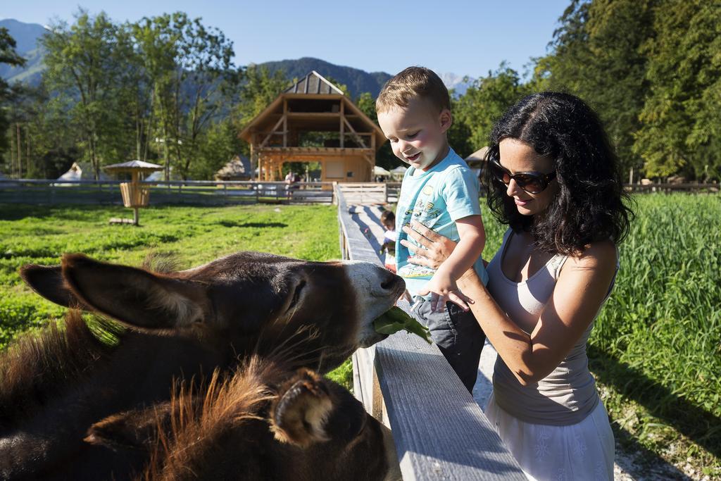 Slovenia Eco Resort Stahovica 외부 사진